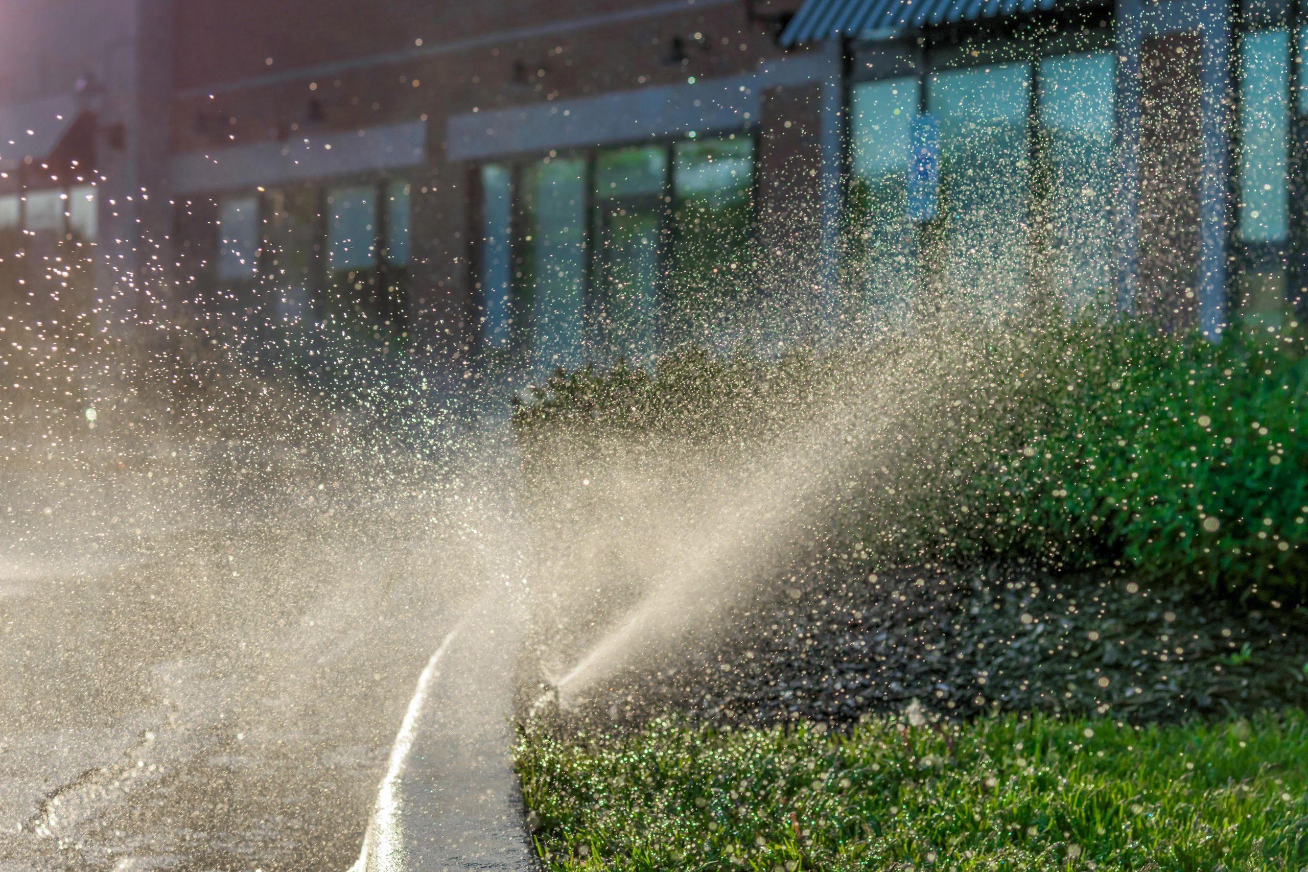 Automated irrigation sprinkler spraying water over plants