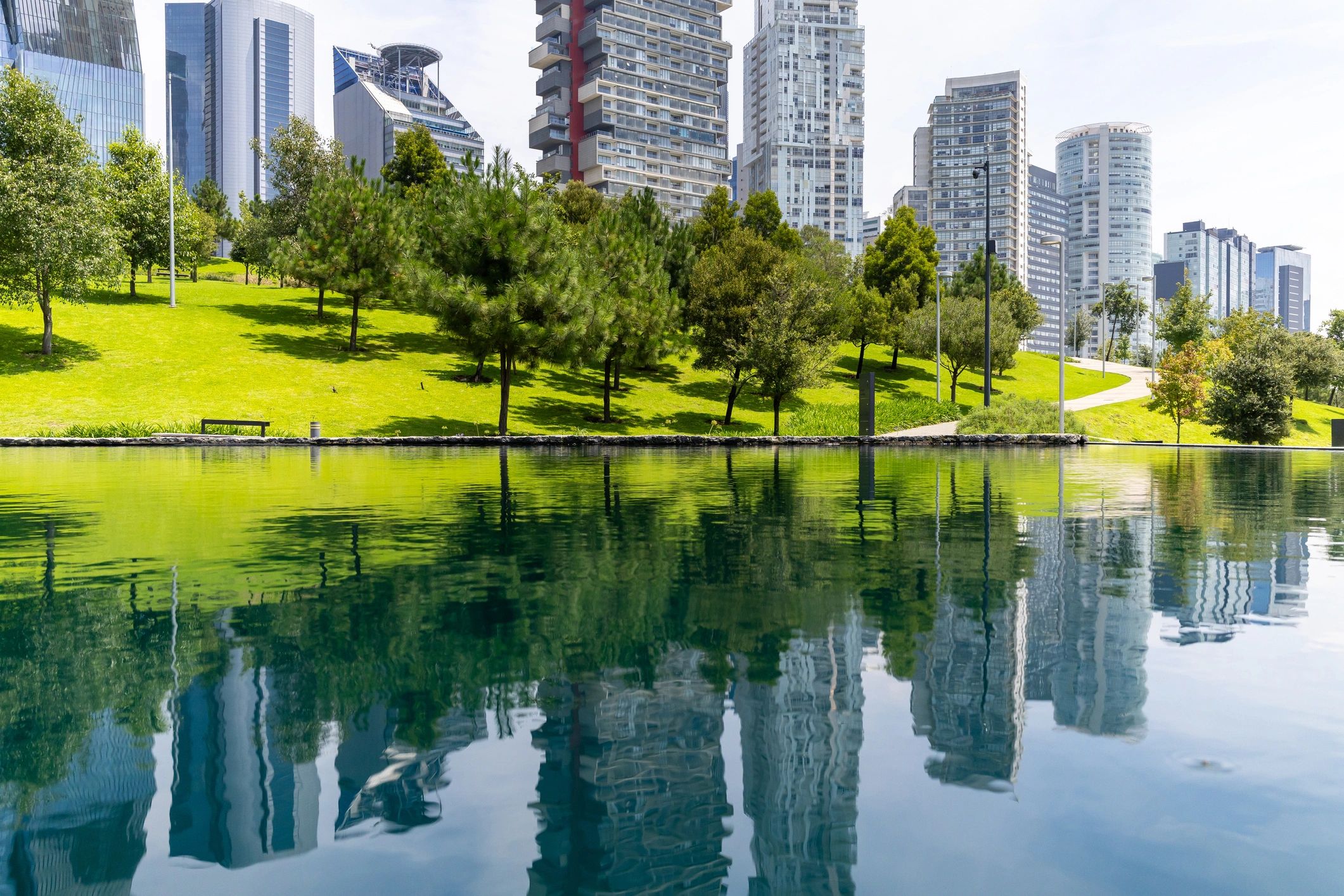 Urban green park representing sustainability and environmental improvement