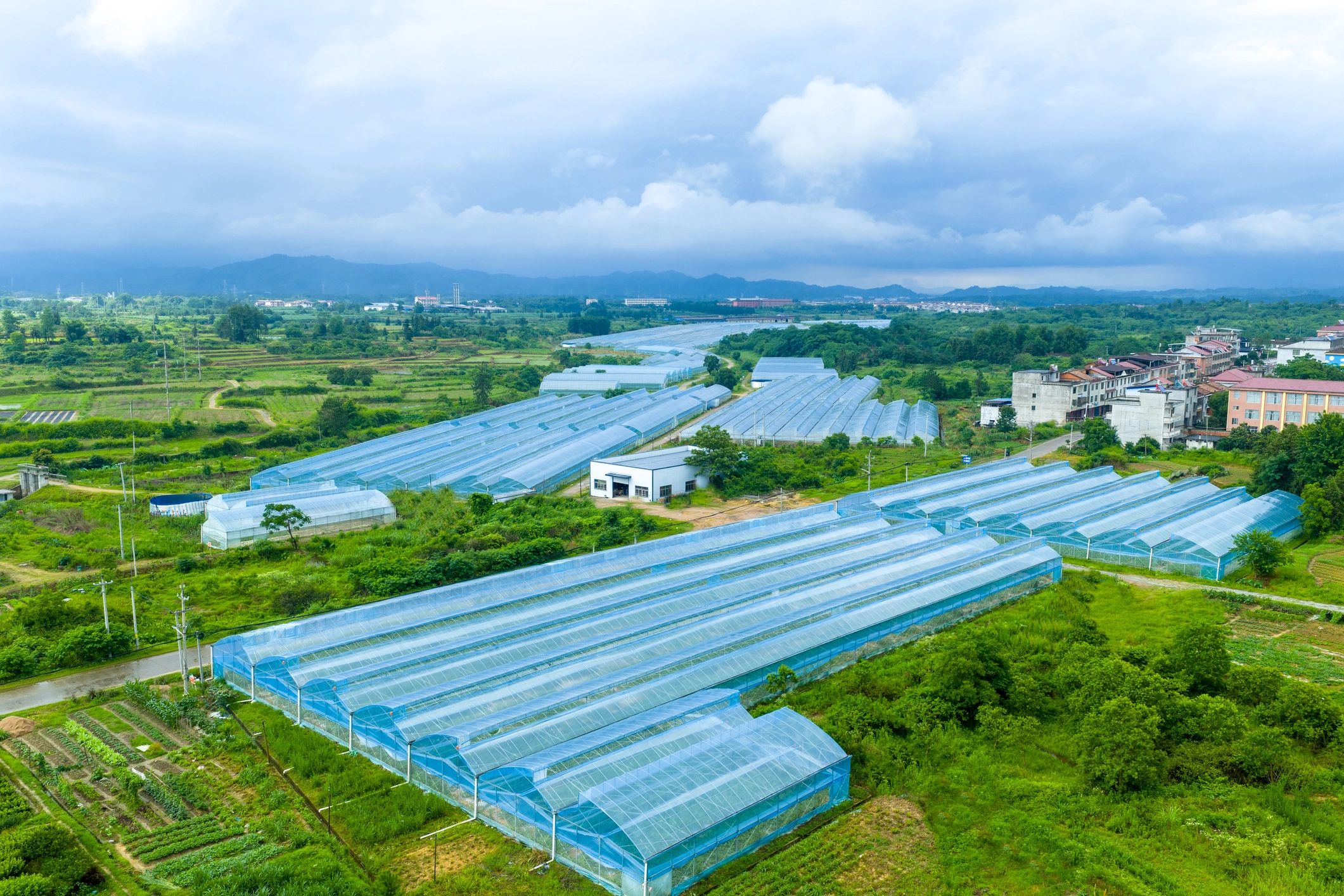 Modern greenhouse agriculture facility viewed from above