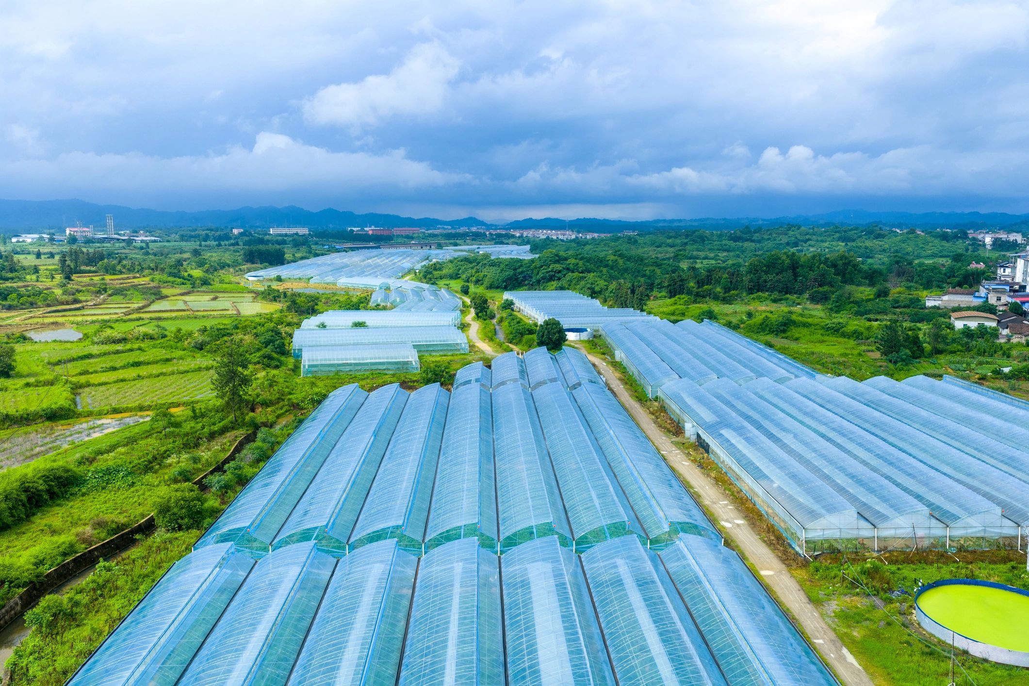 Modern greenhouse agriculture viewed from above